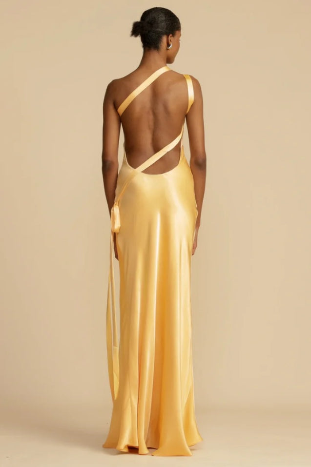 Robe Monique Évasée de Cérémonie Brodée