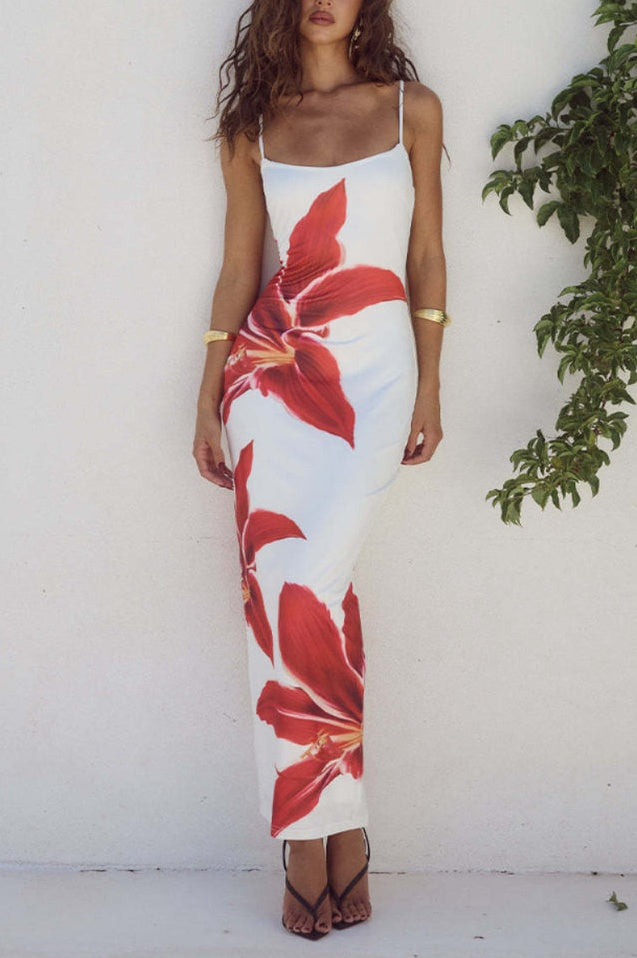 Robe Maxi Multicolore Ibiza